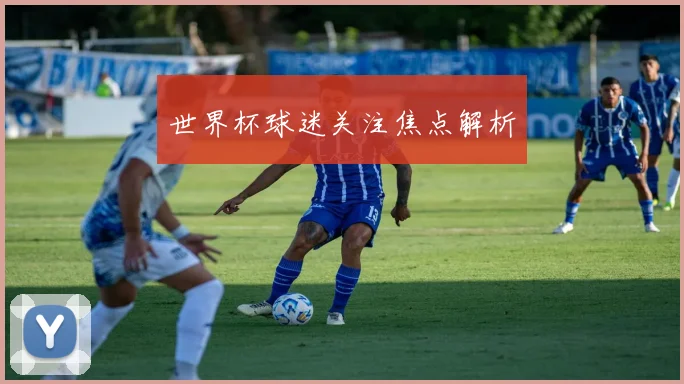 世界杯球迷关注焦点解析
